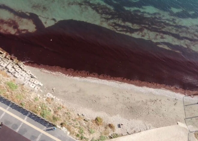 Poyraz esti, Tekirdağ sahili kırmızıya döndü